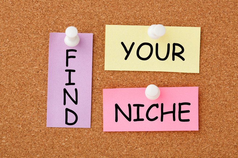 Identify a Profitable Niche