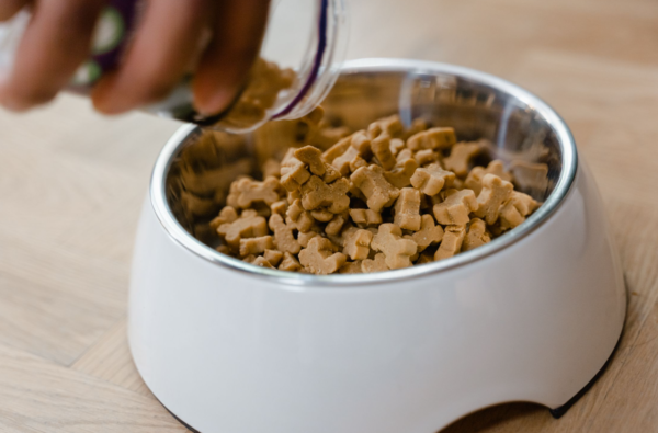 What Are Private Label Pet Supplements?