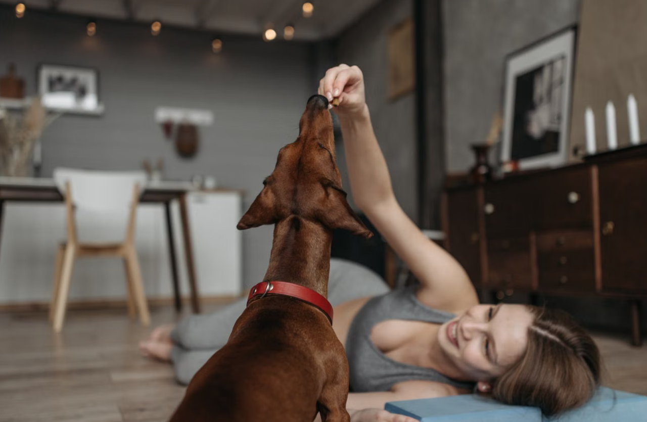 Top 10 Best-Selling Private Label Supplements for Dogs