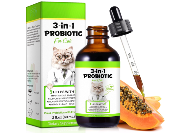 Probiotic and Digestive Supplements for Cats