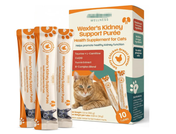 Kidney-Wellness Supplements for Cats