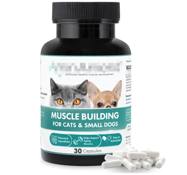 Best Bottle Packaging Ideas for Private Label Pet Supplements