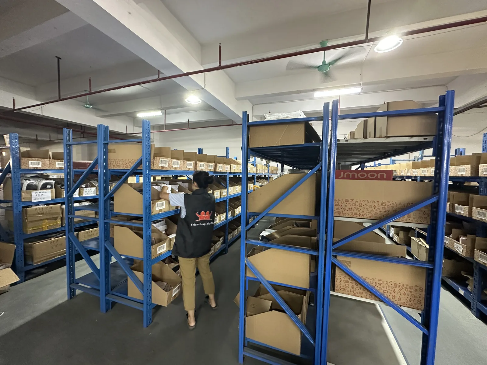 FriendDropshipping warehouse worker picking ecommerce inventory from labeled shelves