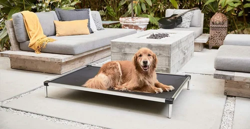 Chew-Resistant and Armored Beds