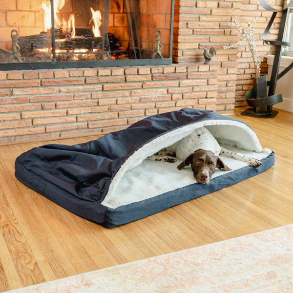 Cave, Burrow, Crate, and Sofa-Protector Beds
